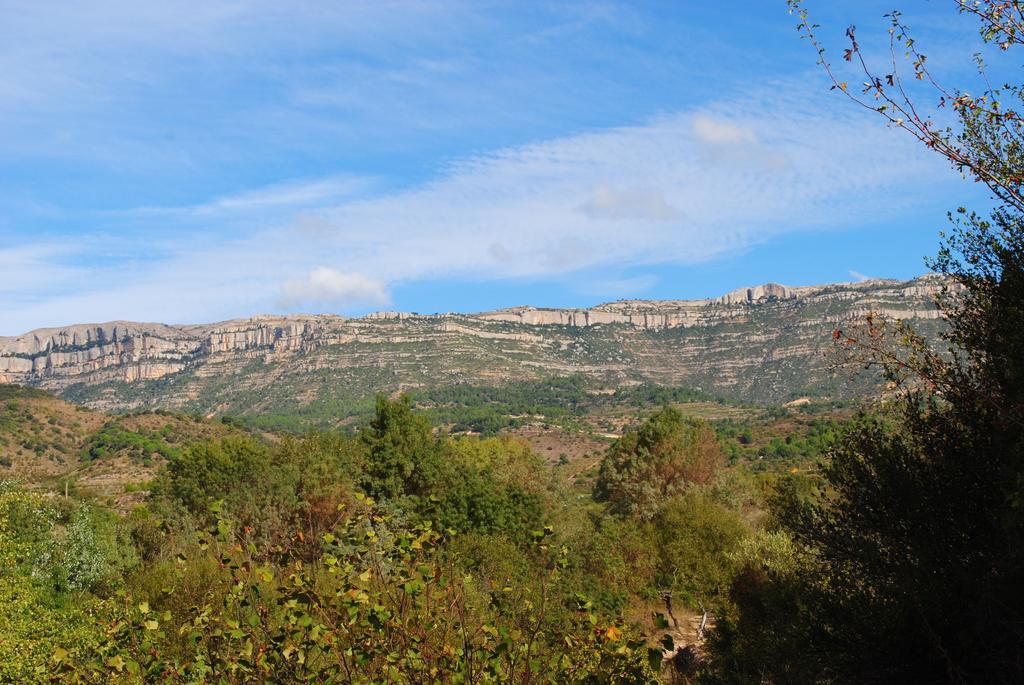 Maison d'hôtes Masia El Riscle - Moli Del Pont à Cornudella de Montsant Extérieur photo